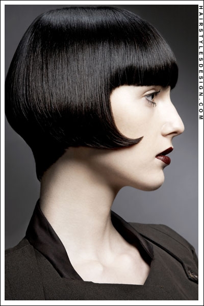 ThIs hair style is very fashionable, smart and chic. It is very sleek and shimmery.